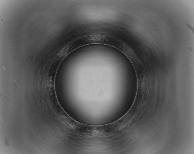 X0000096390737200801311321