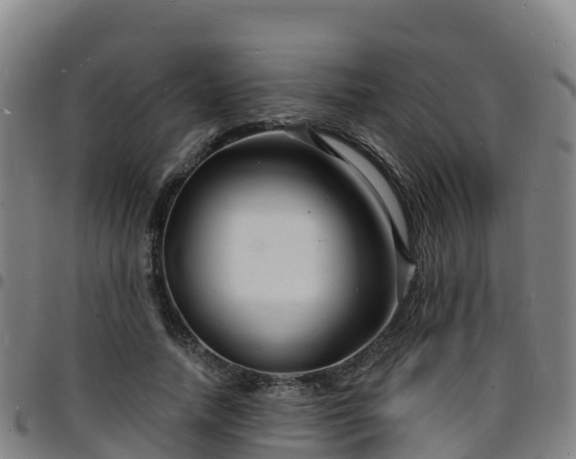 X0000096390738200801311321
