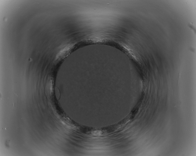 X0000096390740200801311321