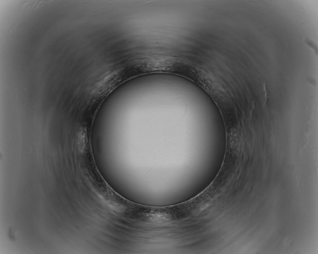 X0000096390741200801311321