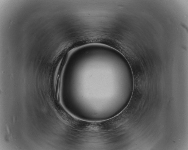 X0000096390742200801311321