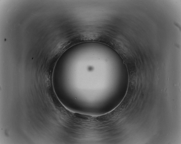 X0000096390743200801311321