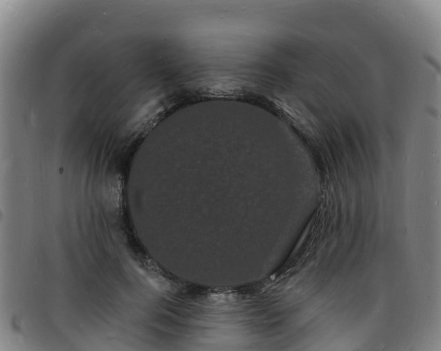 X0000096390744200801311321