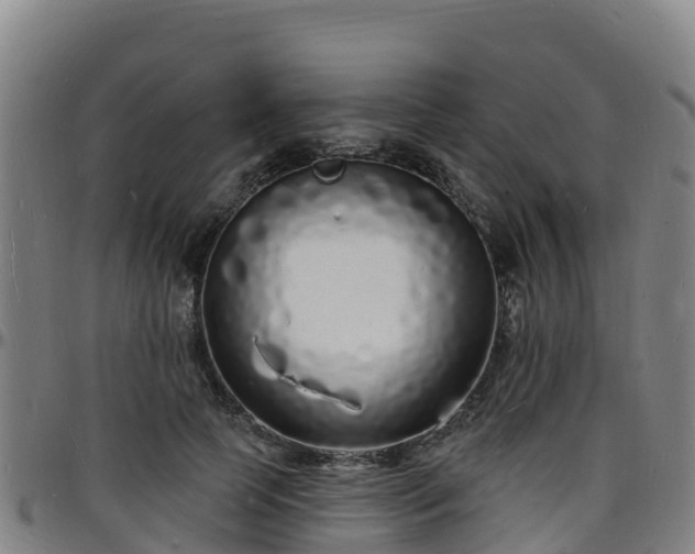 X0000096390745200801311321