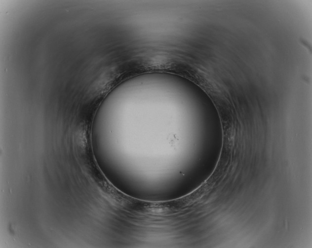 X0000096390746200801311321