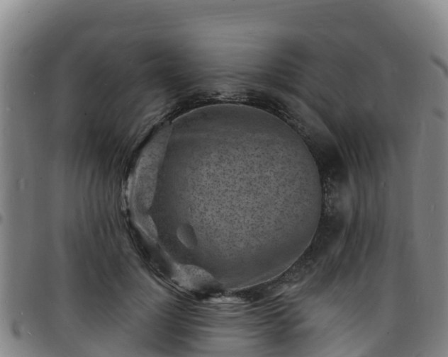 X0000096390748200801311321