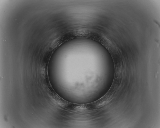 X0000096390749200801311321