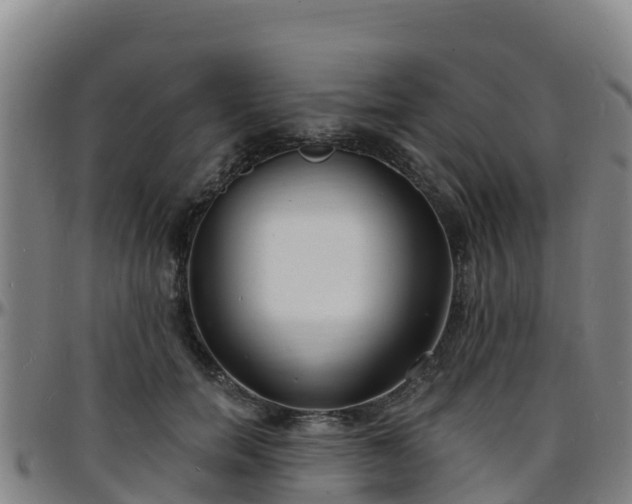X0000096390750200801311321