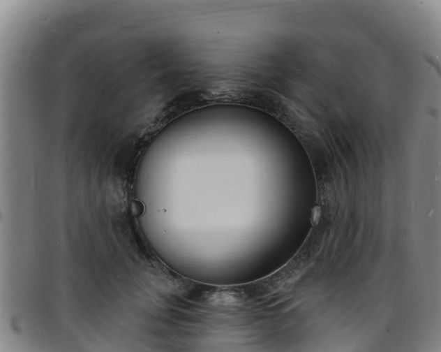 X0000096390751200801311321