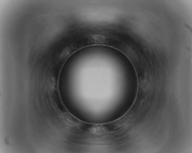 X0000096390752200801311321