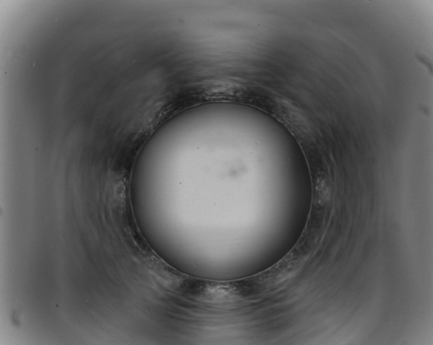 X0000096390753200801311321