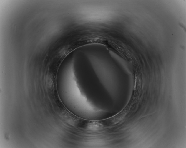 X0000096390754200801311321