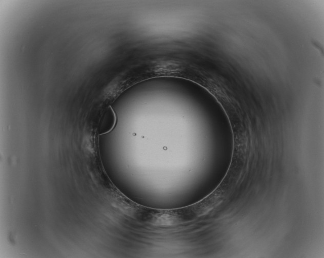 X0000096390755200801311321