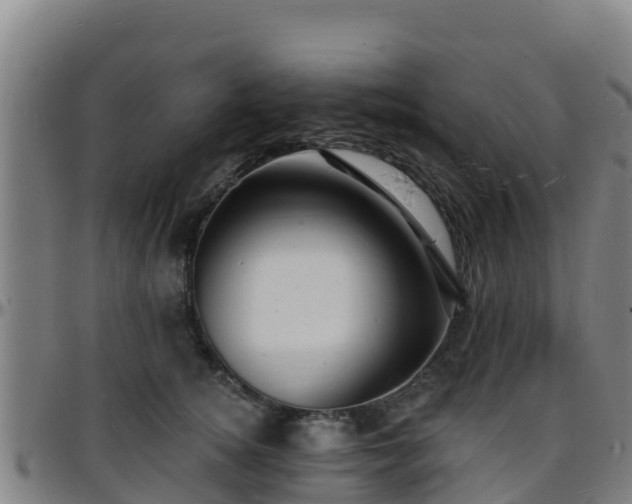 X0000096390756200801311321
