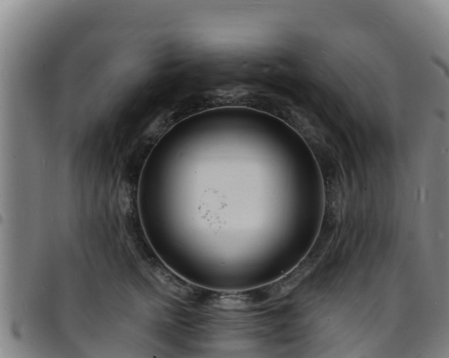 X0000096390758200801311321