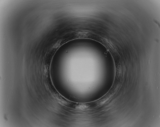 X0000096390759200801311321