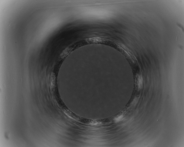 X0000096390760200801311321