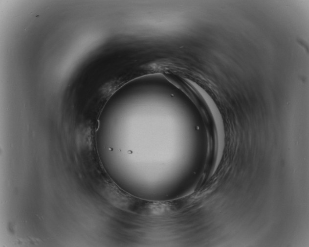 X0000096390762200801311321