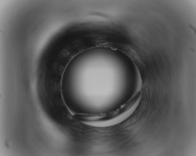 X0000096390763200801311321