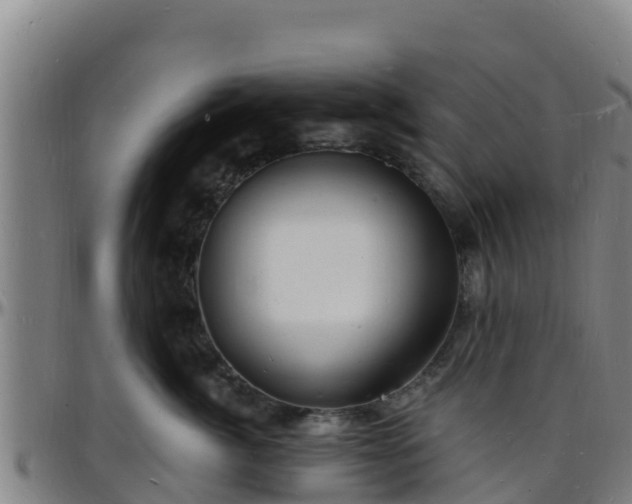 X0000096390764200801311321