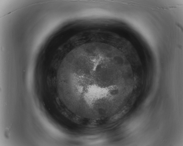 X0000096390765200801311321