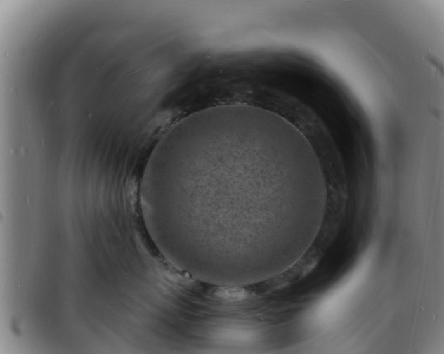 X0000096390767200801311321