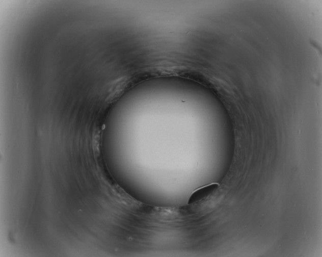 X0000096390768200801311321