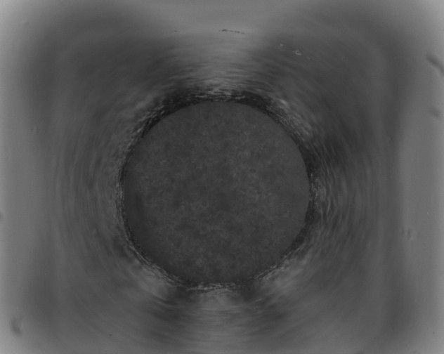 X0000096390769200801311320
