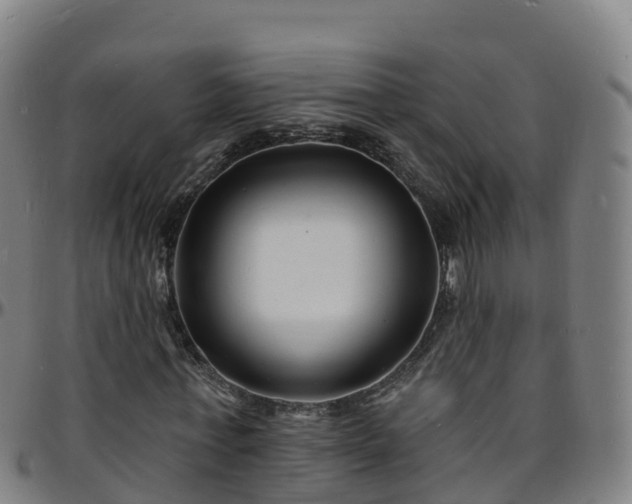 X0000096390771200801311320