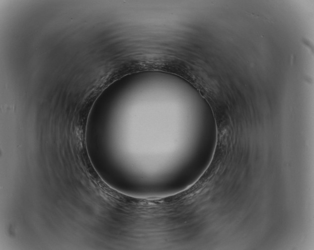 X0000096390772200801311320