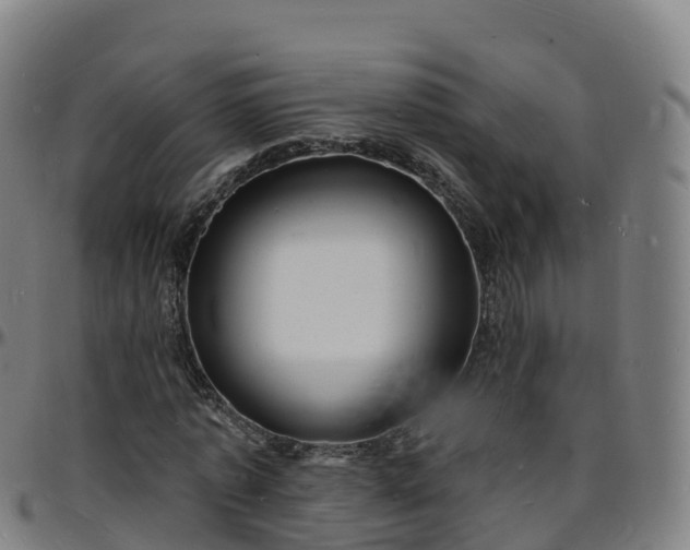 X0000096390773200801311320