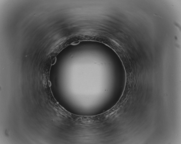 X0000096390774200801311320