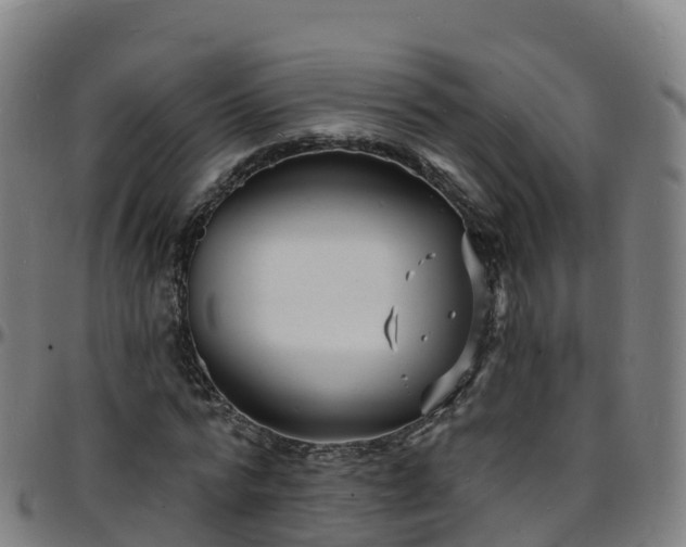 X0000096390776200801311320