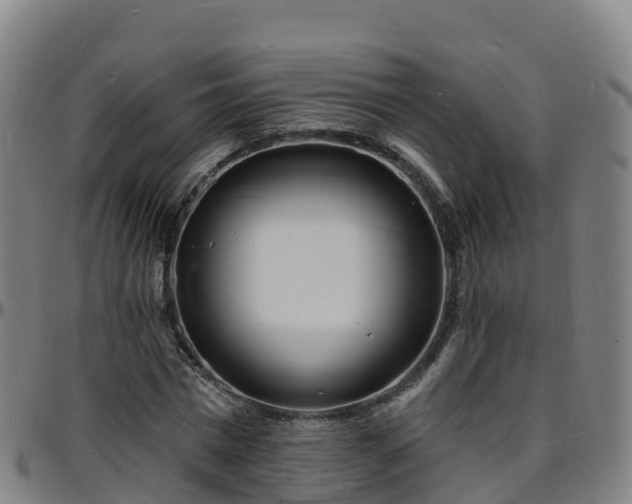 X0000096390777200801311320
