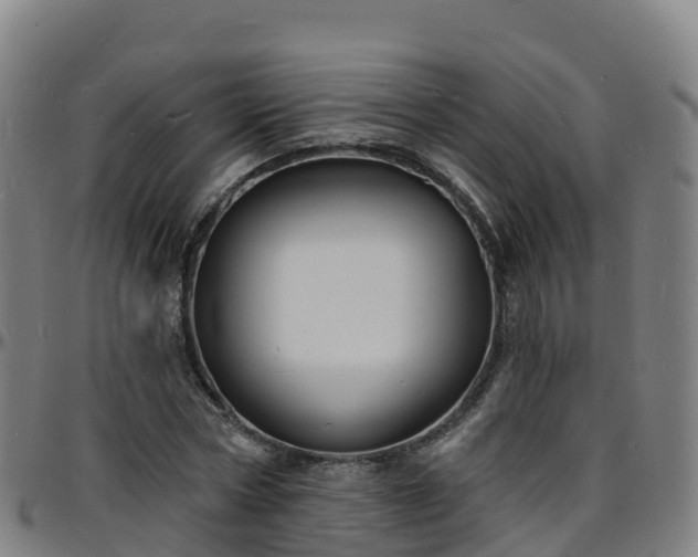 X0000096390778200801311320