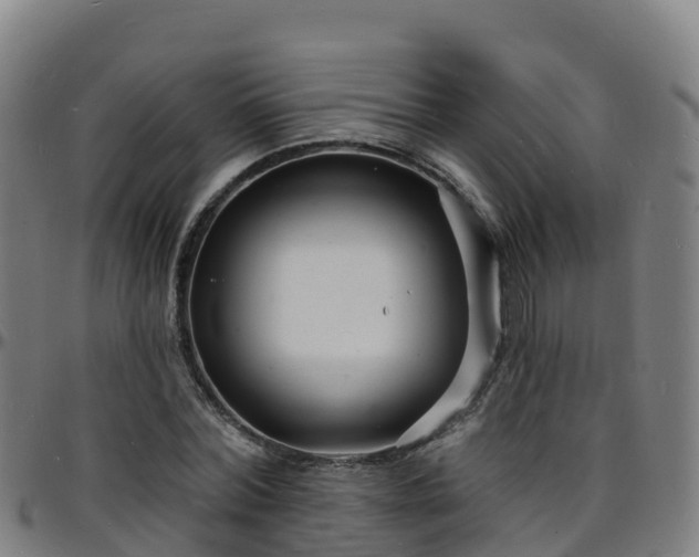 X0000096390780200801311320
