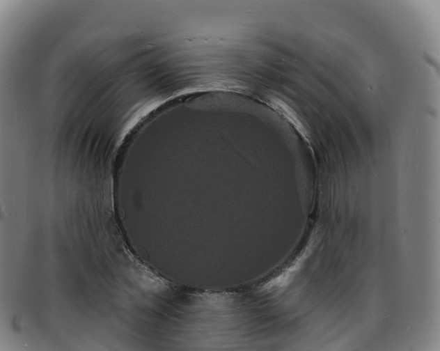 X0000096390781200801311320