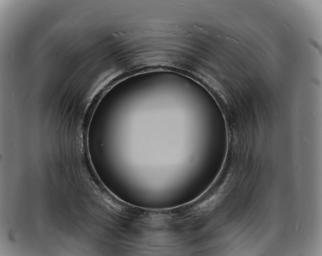 X0000096390782200801311320