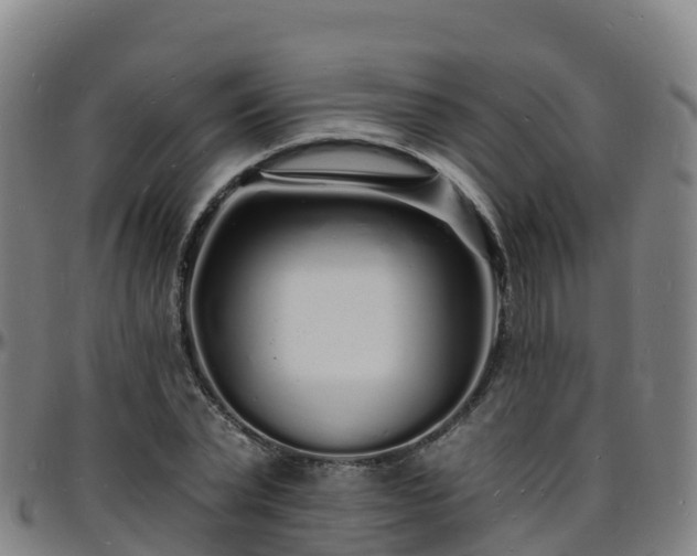 X0000096390783200801311320