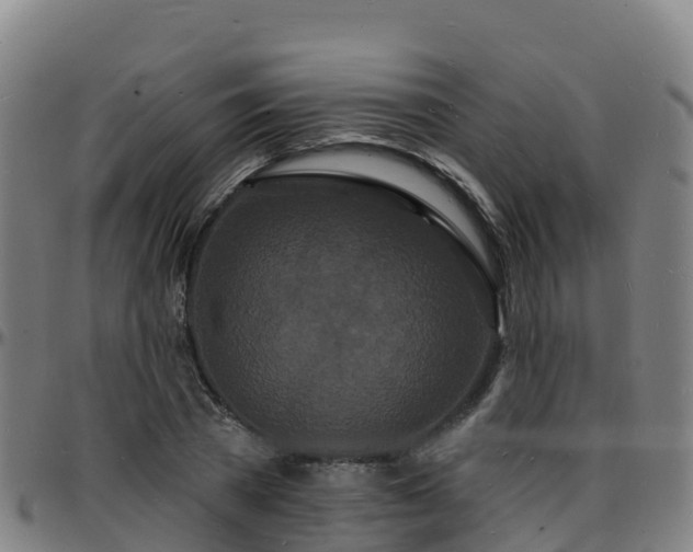 X0000096390785200801311320