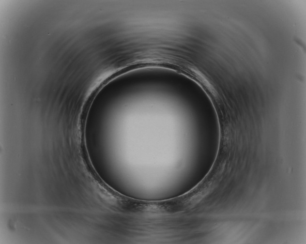 X0000096390787200801311320