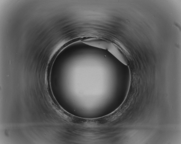 X0000096390788200801311320