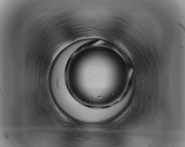 X0000096390789200801311320