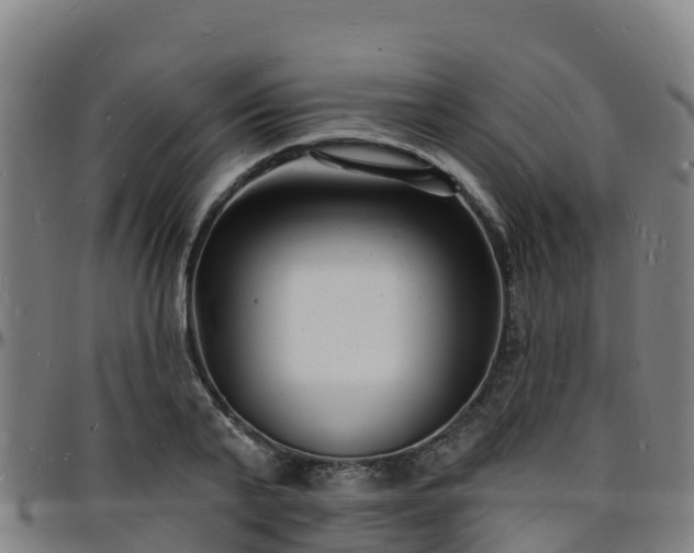 X0000096390791200801311320