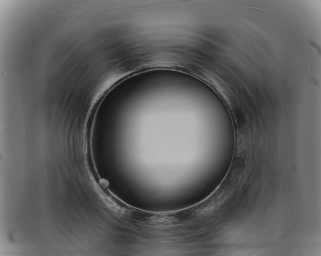 X0000096390795200801311320