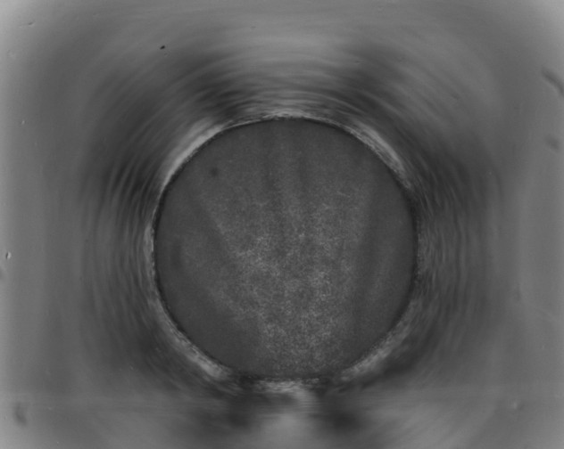X0000096390798200801311320