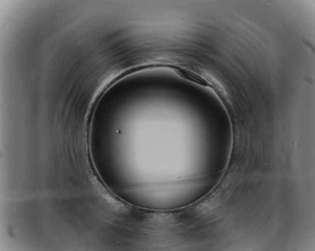 X0000096390800200801311320