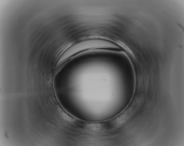 X0000096390801200801311320