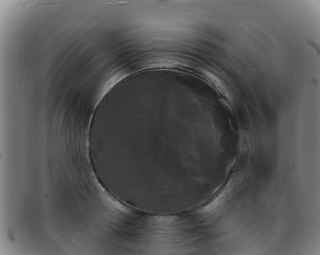 X0000096390802200801311320