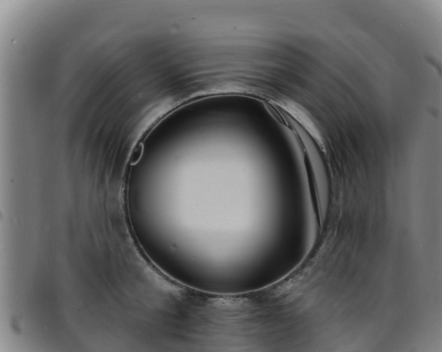 X0000096390805200801311320